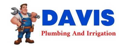 Trusted plumber in BERESFORD